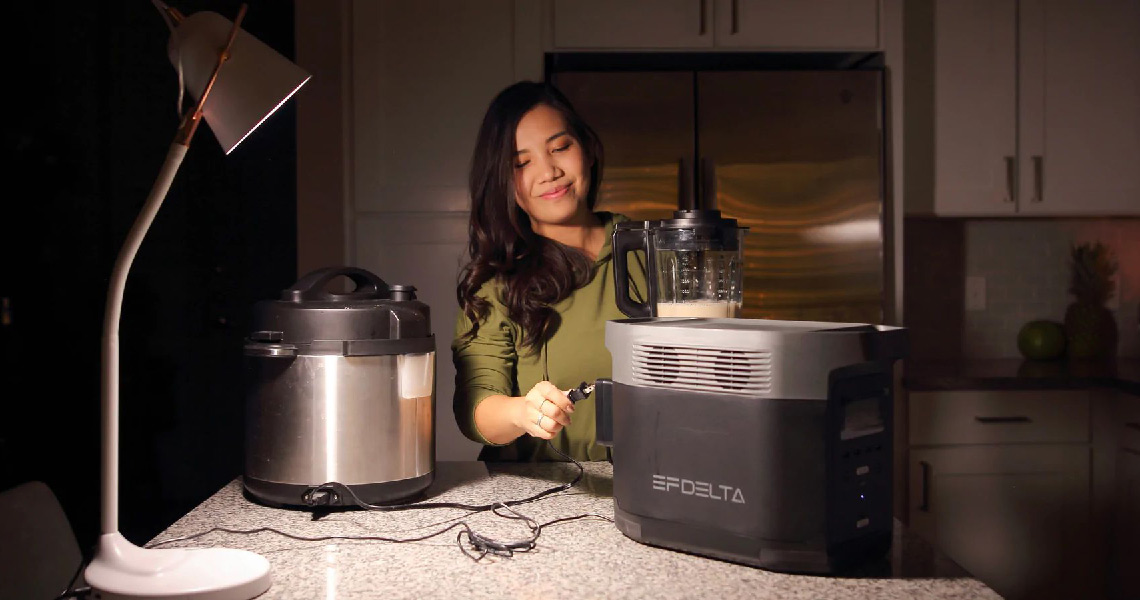 EcoFlow DELTA 1000. Одно устройство для питания всех