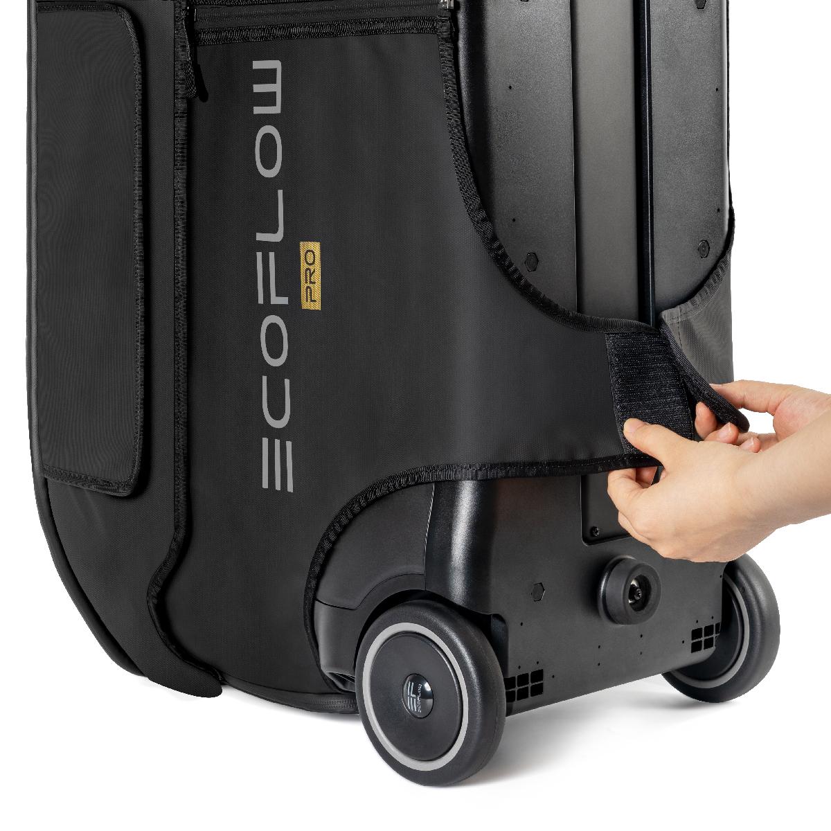 Сумка EcoFlow DELTA Pro, фото 4