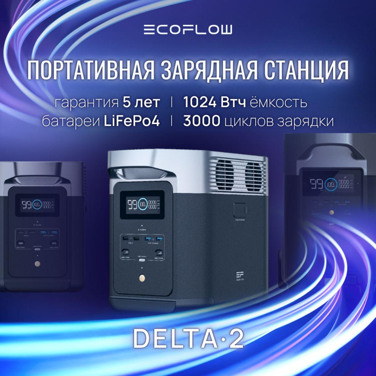 Портативная зарядная станция EcoFlow DELTA 2 (1024 Втч), фото 6